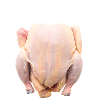 Птица  (заморозка)